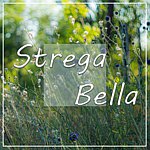  Designer Brands - StregaBella