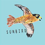  Designer Brands - sunbird