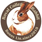  Designer Brands - Royal Rabbit design