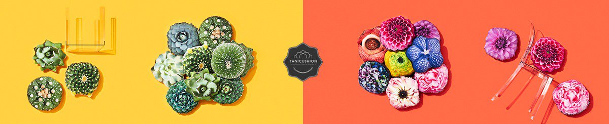  Designer Brands - Tanicushion
