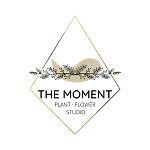 The Moment Studio