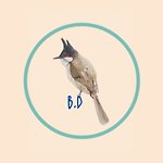 แบรนด์ของดีไซเนอร์ - watercolorbirding