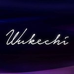  Designer Brands - Wukechi