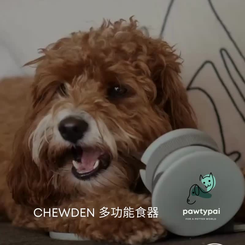 CHEWDEN Trove | Frozen Treat Holder | Dog Pupsicles | Mess-Free | Dog  Enrichment