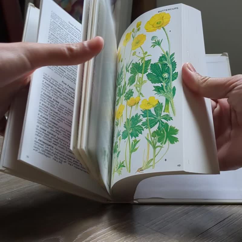英國和歐洲的高山花卉圖鑑/老書/古書/圖鑑/花藝/花卉書/海報 - 刊物/書籍 - 紙 黃色