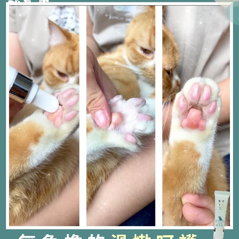 Pet tender paw cream-4 sets - อื่นๆ - วัสดุอื่นๆ 