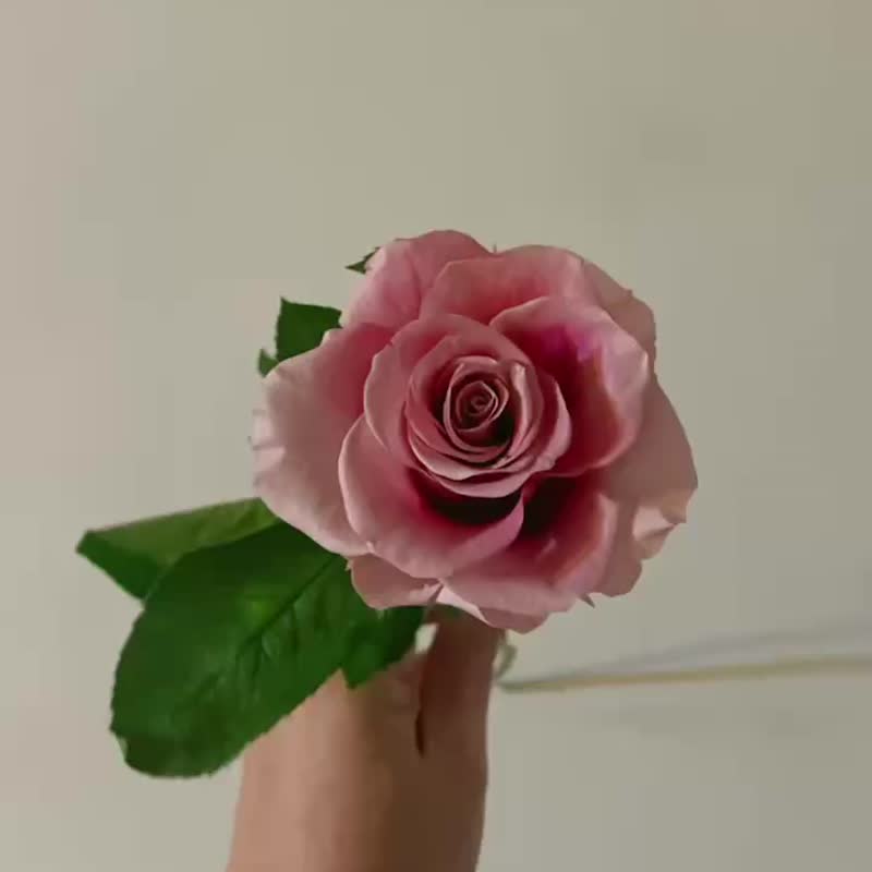 【花訴花藝】小王子與他的玫瑰玻璃盅/永生花禮/祝賀花禮/情人節 - 乾燥花/永生花 - 植物．花 