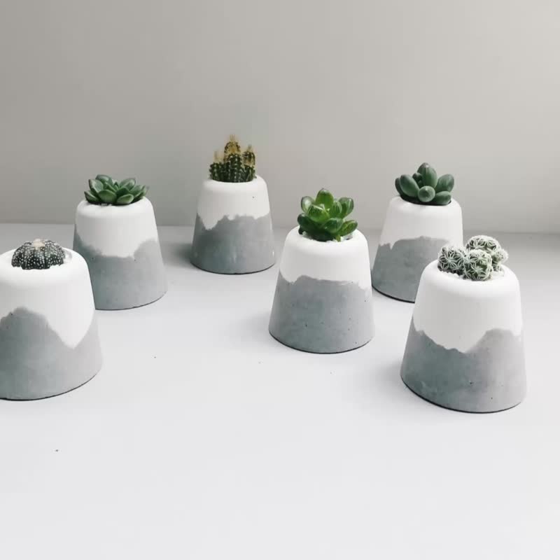 SNOW VOLCAN | Succulent/cactus/empty snowscape Cement potted plants (including plants) - ตกแต่งต้นไม้ - พืช/ดอกไม้ ขาว
