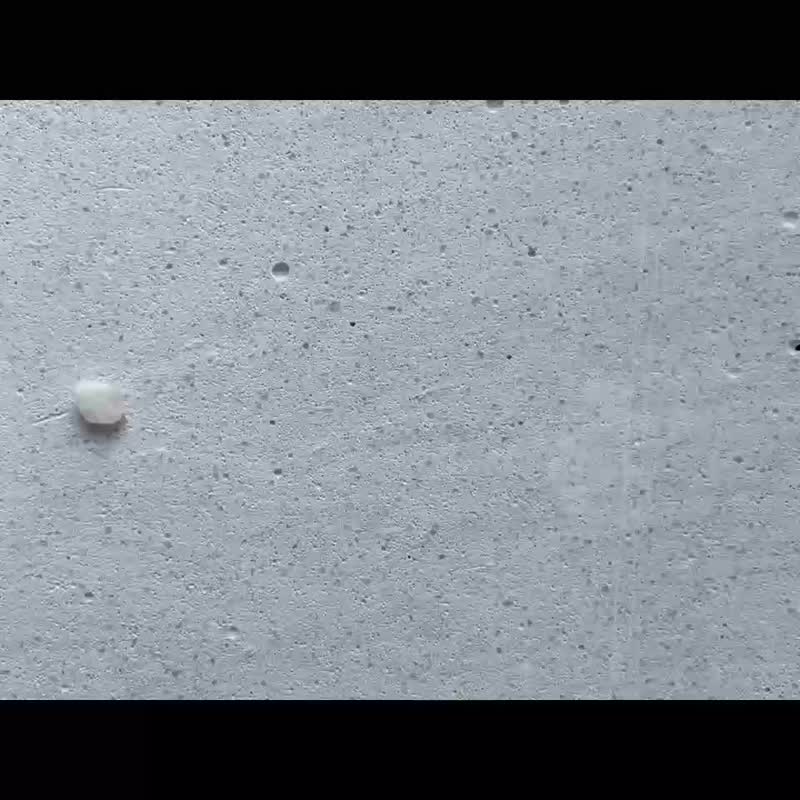 手環 月光石 珍珠 - 關心 - - 手鍊/手環 - 寶石 白色