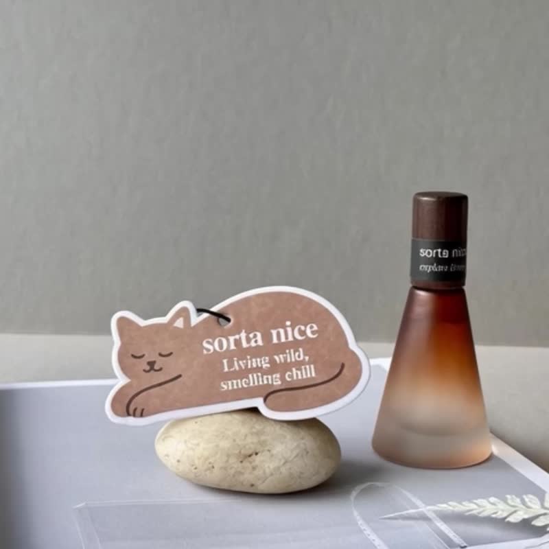 【 聖誕交換禮物 】小貓香氛片+織品噴霧組 隨身擴香 | 世界不急 - 香氛/精油/擴香 - 玻璃 咖啡色