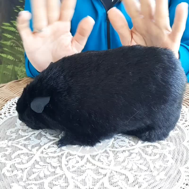 Guinea pig Teddy. Realistic plush toy. - 公仔/玩偶 - 其他材質 黑色
