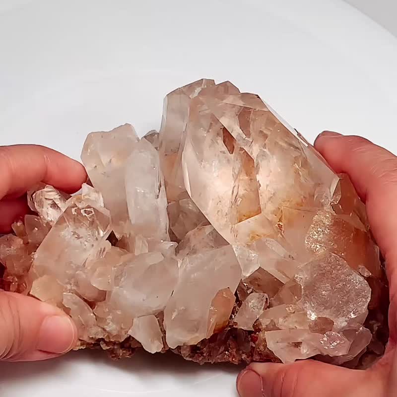 Crystal Corner 隅石丨紅膠花白水晶簇195丨淨化丨療癒水晶法寶 - 擺飾/家飾品 - 水晶 