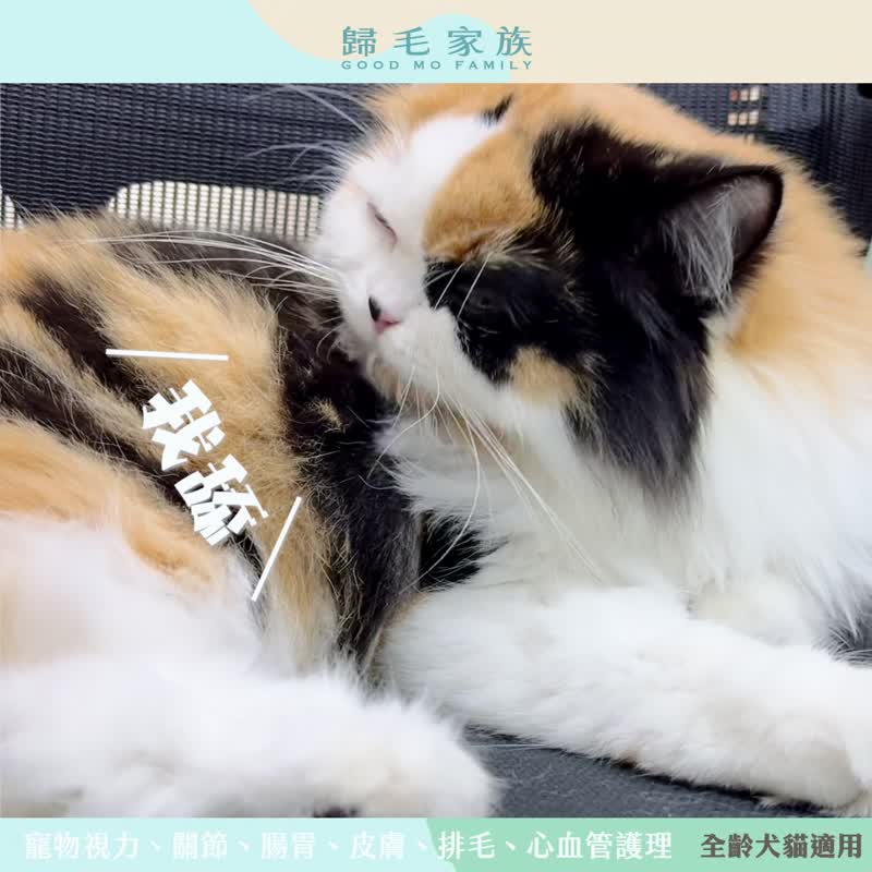 [Return to the Mao Family] Goodbao series of pet health care products - Paimaobao 2 is included in the group - Other - Other Materials 