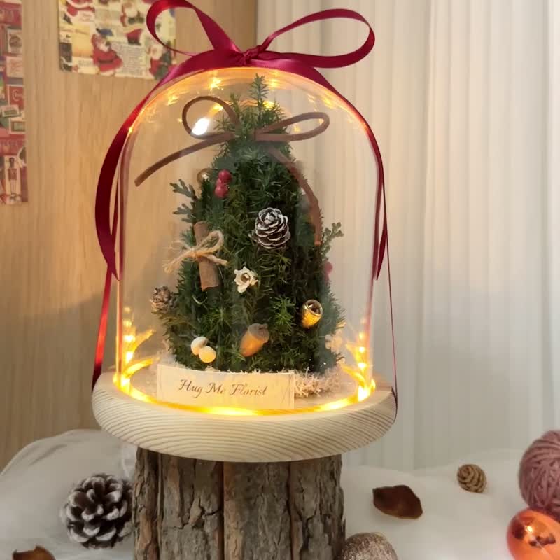 Everlasting Christmas tree glass cover - ช่อดอกไม้แห้ง - พืช/ดอกไม้ สีเขียว