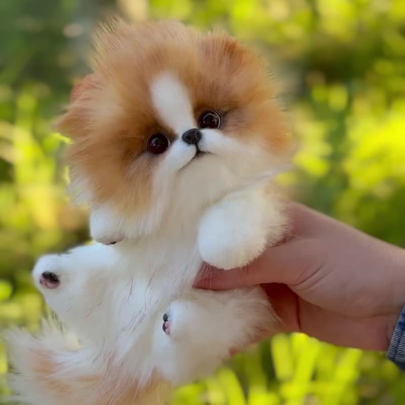 Pomeranian puppy dog stuffed toy doll - 玩偶/公仔 - 其他材質 白色