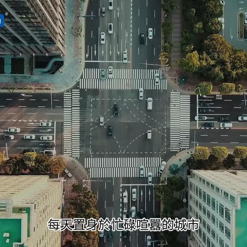 CARORI 香百年 森林之歌香膏-160g 固體擴香香膏 居家香氛擴香 - 香氛/精油/擴香 - 其他材質 咖啡色
