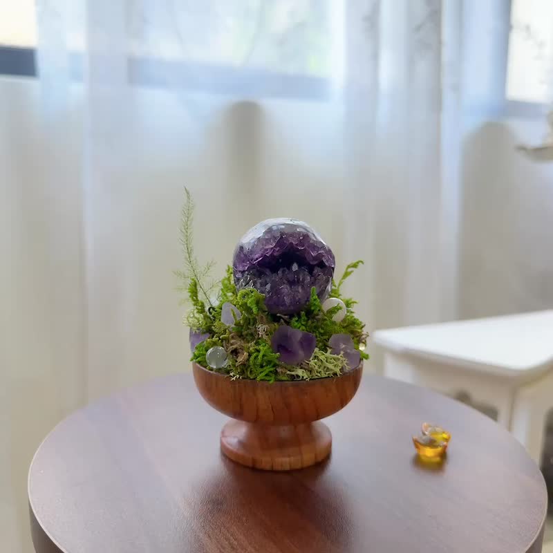 烏拉圭開口笑 紫水晶。小太陽 日日東昇 永生綠植栽 - 植栽/盆栽 - 水晶 紫色