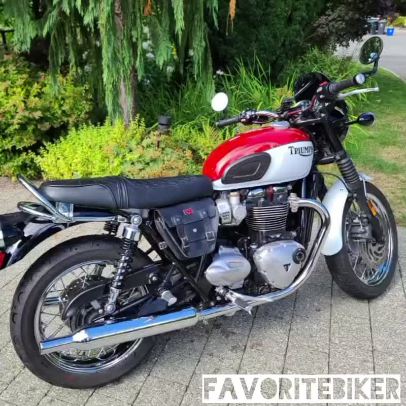 TRIUMPH 真皮側袋適用於 T100 T120 Street Twin Thruxton R - 其他 - 真皮 黑色