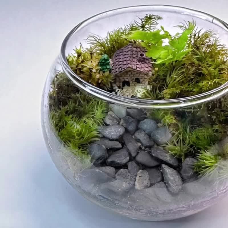 緑の小さな巣 / ミニ手のひらサイズ手作りミニチュアランドスケープ生態ポット - 観葉植物 - 寄せ植え・花 