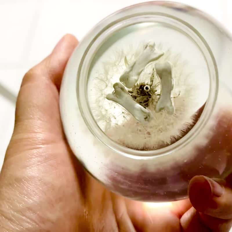 客製 寵物毛小夜燈 寵物毛 臍帶 胎毛 永生花小夜燈 聖誕禮物 - 燈具/燈飾 - 樹脂 多色