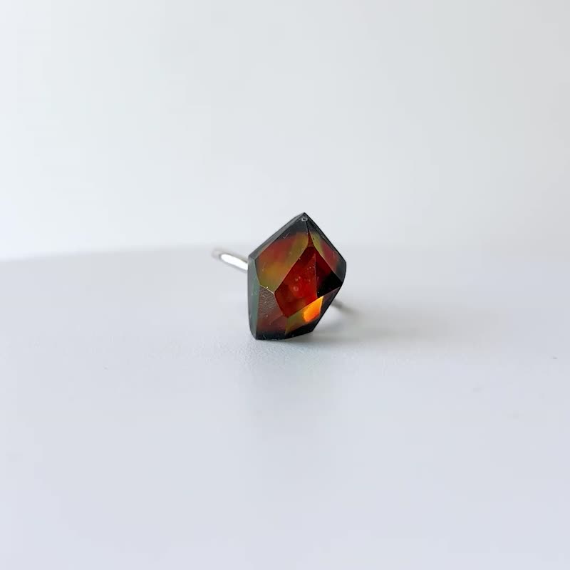 Frames ring /crystals Floating prism 1-c/silver925/type-C - 戒指 - 純銀 多色