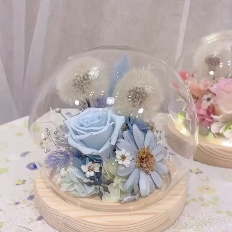 | Little Dream Flower Art | Immortal Flower Dandelion Rose LED Light Ring Base Glass Ball Glass Cover - ช่อดอกไม้แห้ง - พืช/ดอกไม้ ขาว