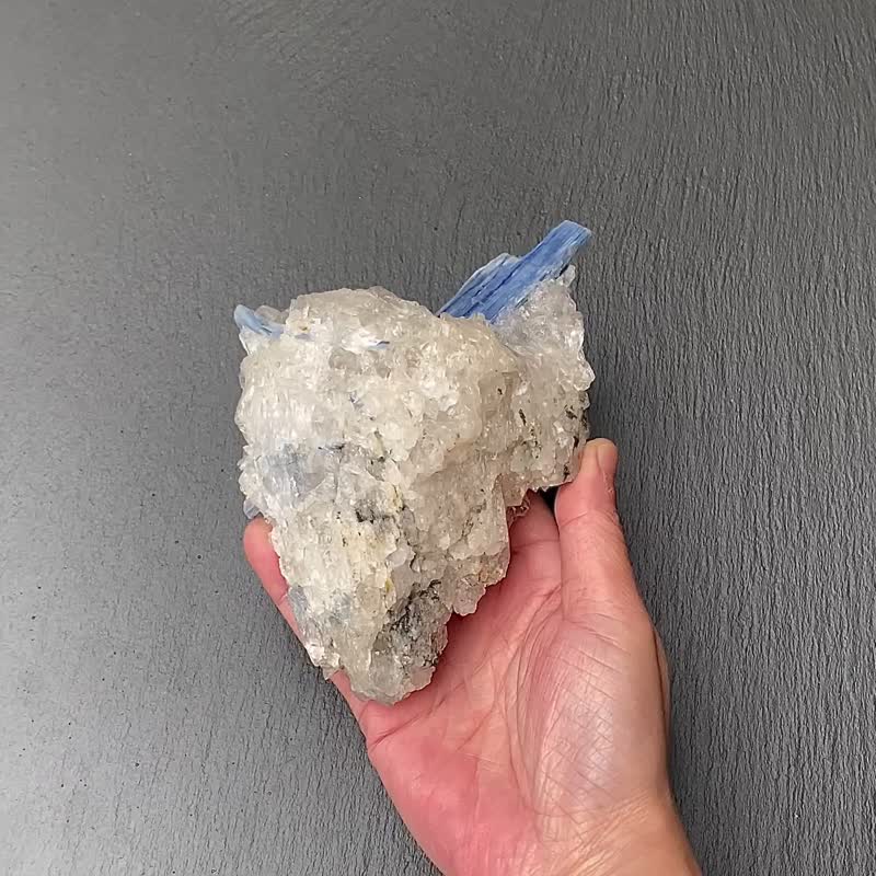 手串充電站-天然原礦白水晶冰山共生藍晶石及黑碧璽 養水晶 - 擺飾/家飾品 - 水晶 多色