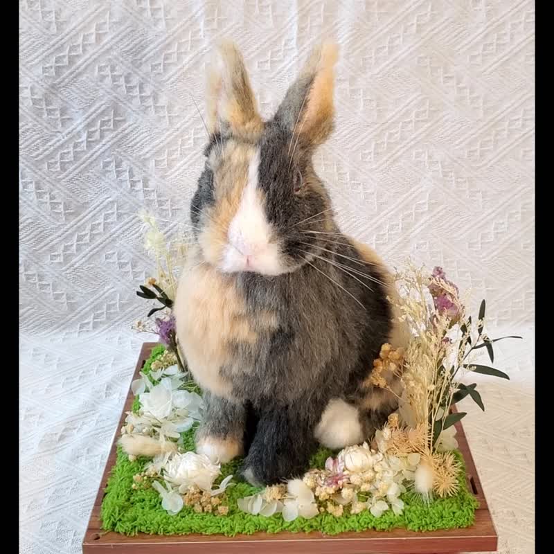 【客製羊毛氈】擬真兔兔 (20cm) - 客製化寵物商品 - 羊毛 白色