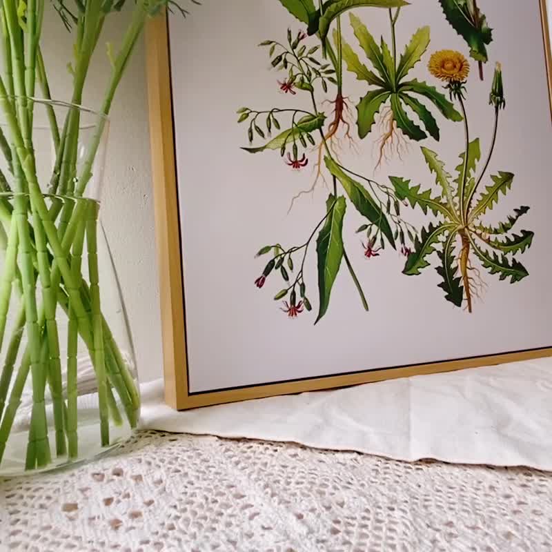 蒲公英花譜－畫/盆栽植物/臥室掛畫/家居佈置/餐廳裝飾/民宿/花 - 海報/掛畫/掛布 - 其他材質 多色