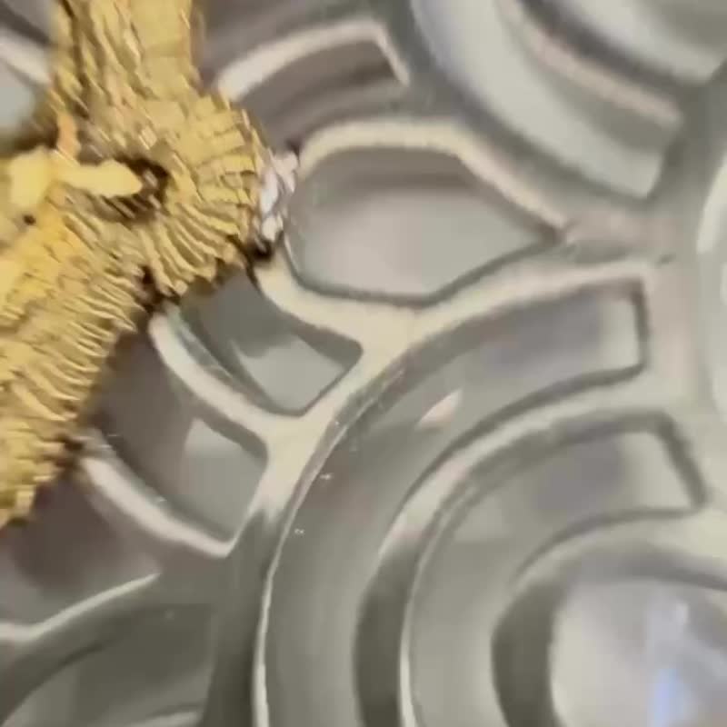 SOULITE Eagle Vibes S AirPods 4 耳機殼 - 其他 - 不鏽鋼 