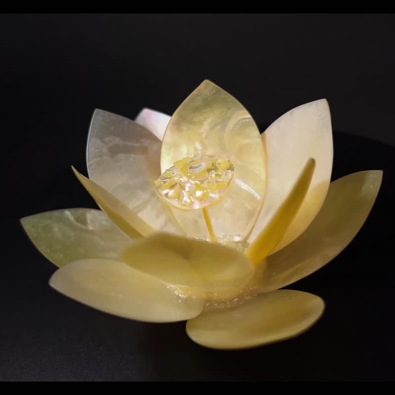 Akoya Shell Decoration Lotus Flower 01 - Items for Display - Shell Gold