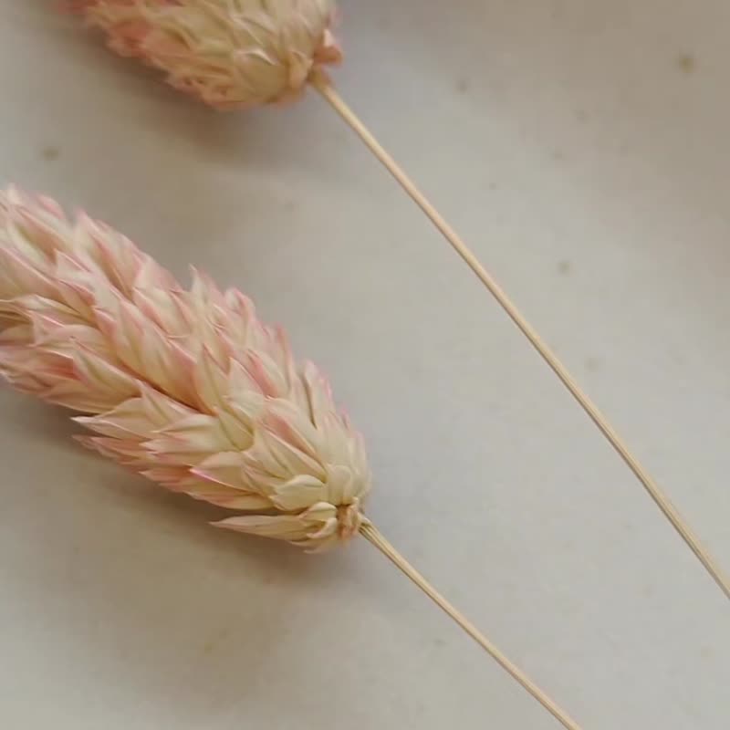 1KM輕淺復古感•花式鋯石小垂墜耳環 - 耳環/耳夾/耳骨夾 - 其他金屬 