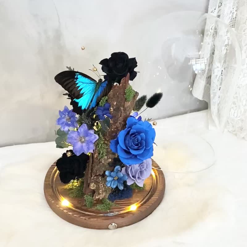 英雄翠鳳蝶 玻璃罩 小夜燈 永生花 玻璃盅(大) - 乾燥花/永生花 - 植物．花 藍色