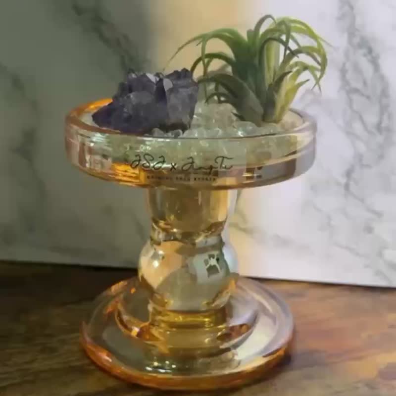 JINGTU 晶植森語 水晶 植栽 空氣鳳梨療癒 居家裝飾 七夕 送禮 - 盆栽/植栽 - 植物．花 綠色