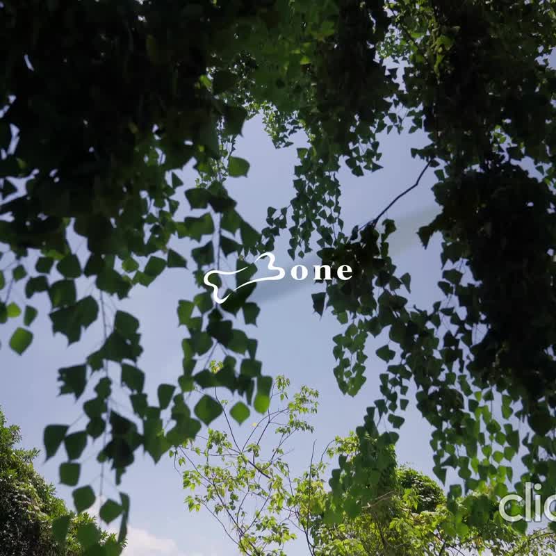 Bone蹦克 / 單車手機雙用綁 6 Pro-Pack 單車手機架、行動電源綁 - 腳踏車/滑板/周邊 - 矽膠 黑色