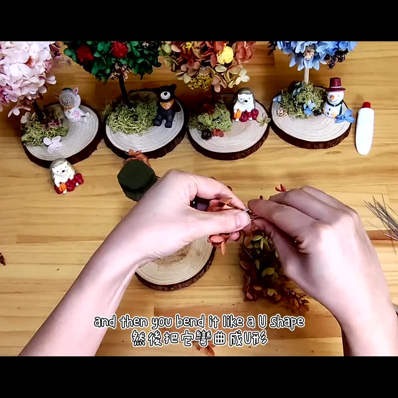 [DIY Christmas Gift Box] Four Seasons Preserved Flower Tree DIY Course - Summer Online Teaching + Material Package - จัดดอกไม้/ต้นไม้ - พืช/ดอกไม้ 