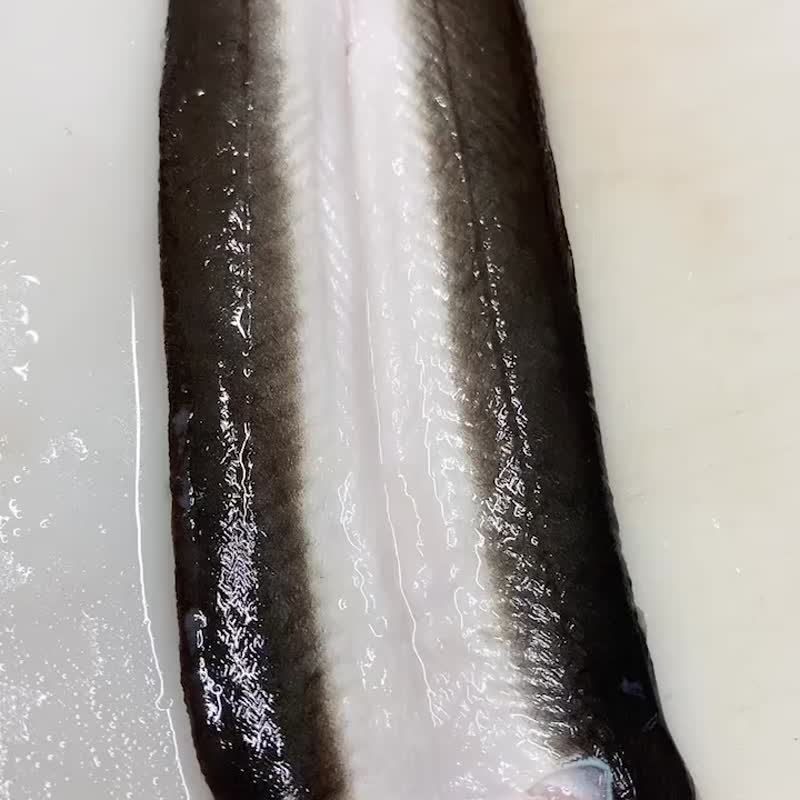 【生生】Export Japanese eel gift box set 400G*3-raw eel slices - Other - Other Materials Red
