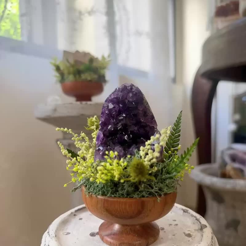帝王紫 紫水晶 晶鎮 。 微景觀永生葉材 綠植栽 - 盆栽/植栽 - 水晶 紫色