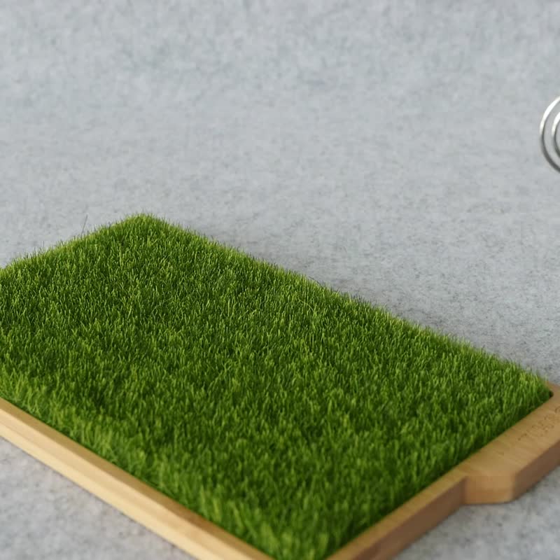 NG品 輕草地置物盤-櫸木 收納盤 婚禮擺飾 客廳擺飾 桌面擺飾 - 擺飾/家飾品 - 木頭 綠色