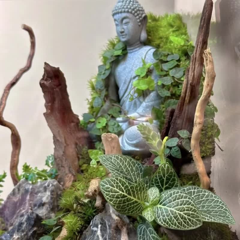 林間覚者 / カスタマイズ造景生態水槽 - 観葉植物 - 寄せ植え・花 