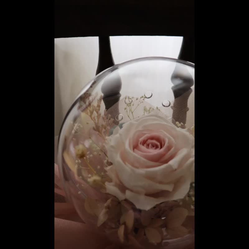 華麗芭蕾永生花波波花束 - 乾燥花/永生花 - 植物．花 