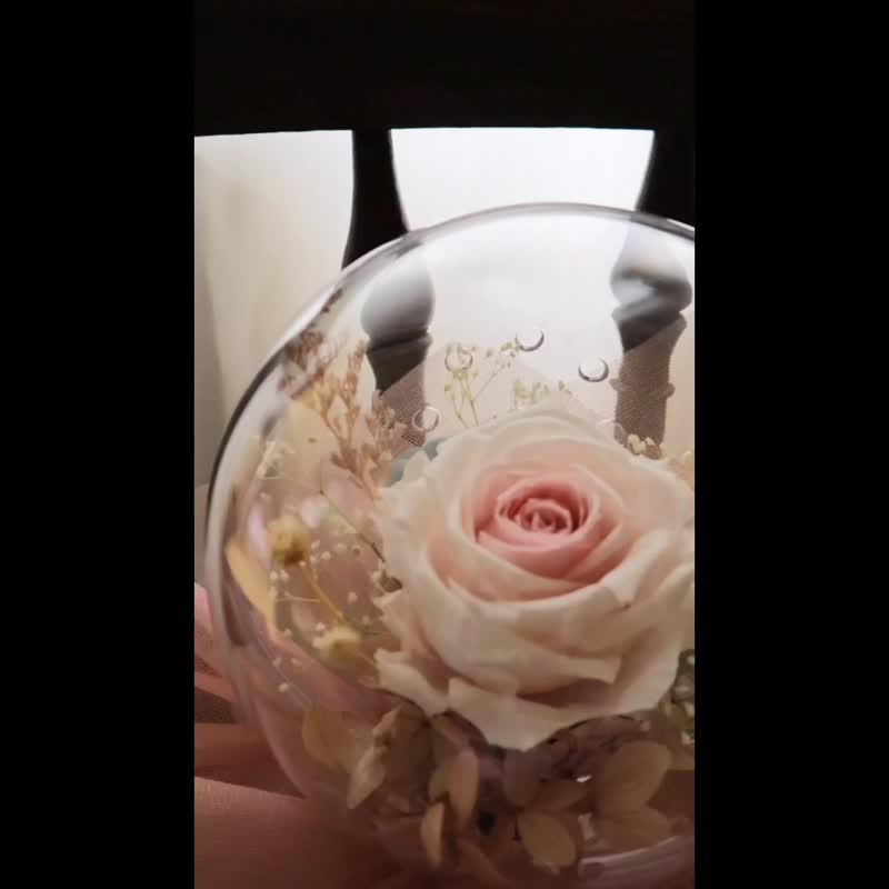 華麗芭蕾永生花波波花束 - 乾燥花/永生花 - 植物．花 