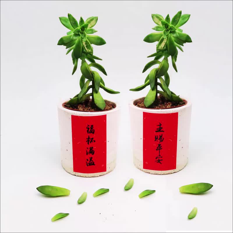 獨家組合-迷你春聯 祝福貼紙 福杯滿溢 主賜平安 1全張12小張 - 紅包袋/春聯 - 紙 紅色