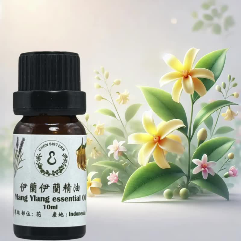 Floral pure essential oil 100% single essential oil Ylang Ylang 10ml/50ml free rose diffuser Stone - Fragrances - Essential Oils White