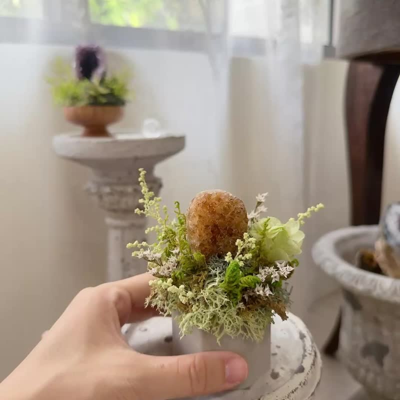 能量黃金鎮。永生葉材綠植栽 不用澆水的天然植物 - 盆栽/植栽 - 水晶 橘色