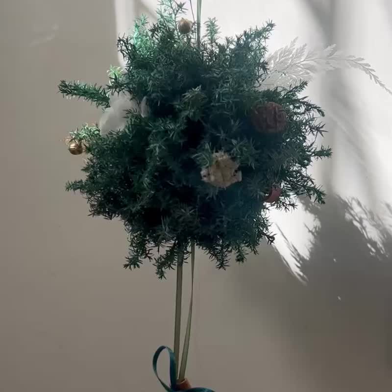 冬之鈴 永生雪松聖誕松球 - 乾燥花/永生花 - 植物．花 