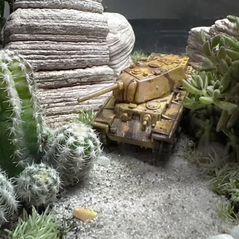 沙狐之影 / 手工客製化微景觀生態盆 - 植物/盆栽/盆景 - 植物．花 