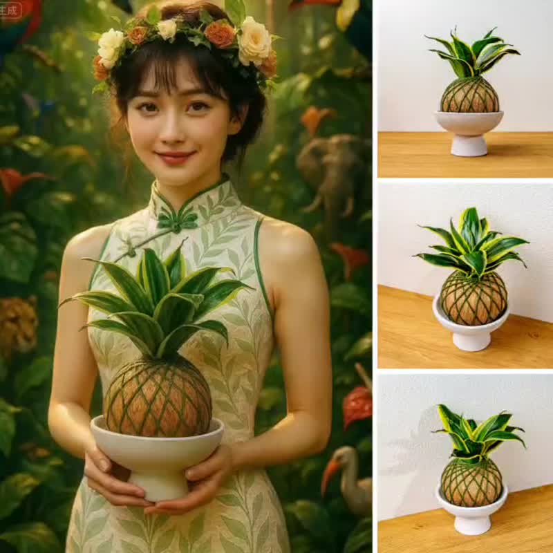 苔球植物 金剛虎尾蘭灰金苔球加磨砂高腳缽 苔球 苔玉 禮物 送禮 - 盆栽/植栽 - 植物．花 綠色