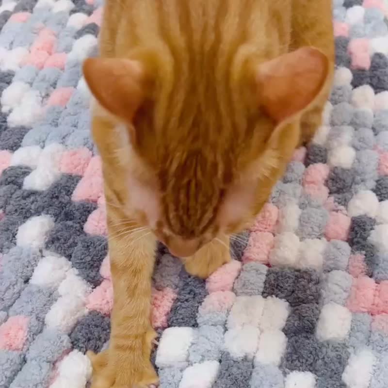 手工鉤針編織 球球線床墊 貓咪最愛 紅藍白粉紅拼色 - 寵物床墊/床褥 - 其他材質 