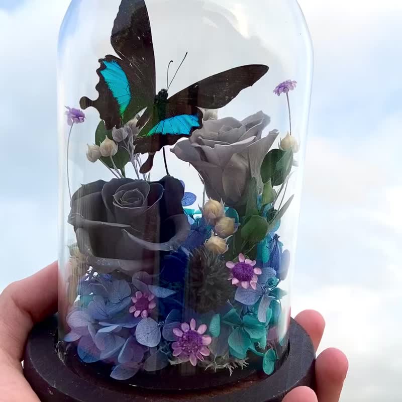 Butterfly Specimen Glass Cup/Mirror Swallowtail/Chinese Valentine's Day/Father's Day Gift/Structural Color - Plants - Plants & Flowers Blue